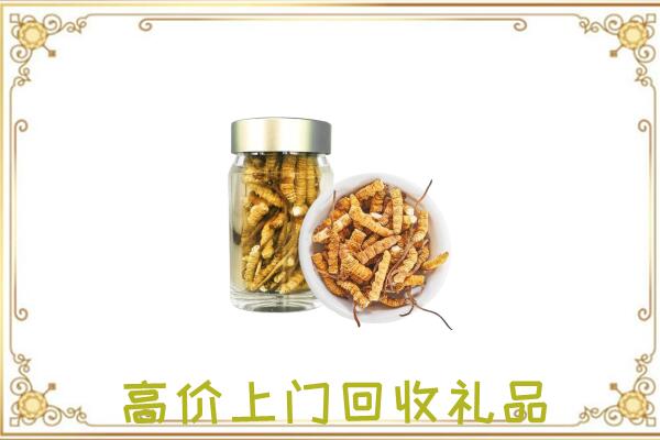 滨海周边回收虫草